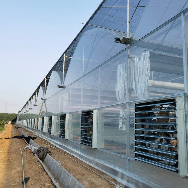 如何打造智能溫室？